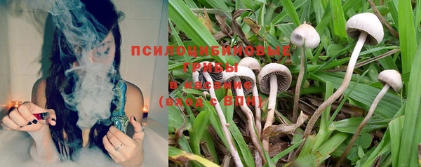 прущий лед Нязепетровск