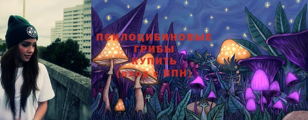 дмт Нягань