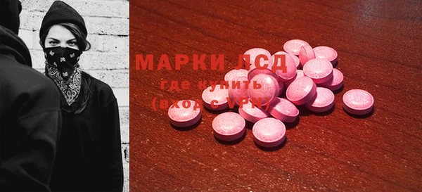 ГАЛЛЮЦИНОГЕННЫЕ ГРИБЫ Няндома