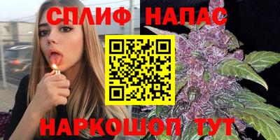 крисы Заводоуковск