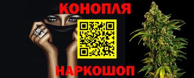крисы Заводоуковск