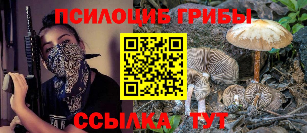 Галлюциногенные грибы Psilocybine cubensis  Советский 
