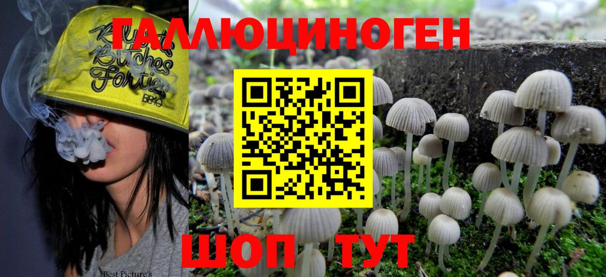 Галлюциногенные грибы GOLDEN TEACHER  Галлюциногенные грибы GOLDEN TEACHER  Вход с VPN  Советский 